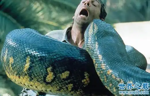 世界上最大的动物长80米,盘点20个巨型恐怖动物(1)