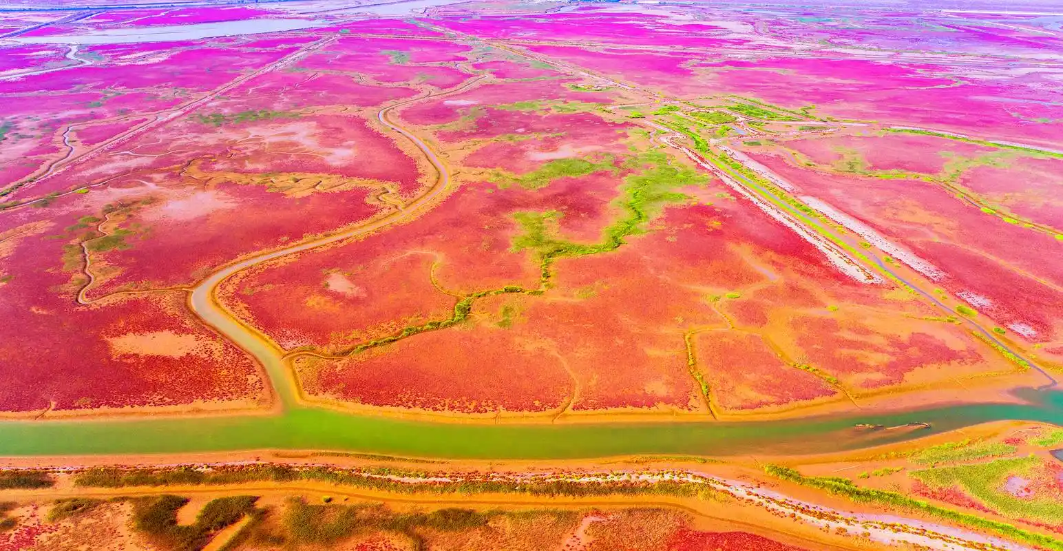 好客山东 好品山东|大河奔流,绘就生态东营新画卷 - 海报新闻