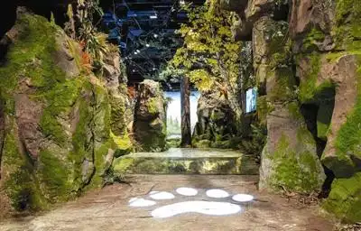 馆内  场景  图据成都大熊猫繁育研究基地