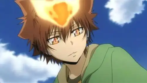 家庭教师泽田纲吉载图要笑的,而且是大空形态