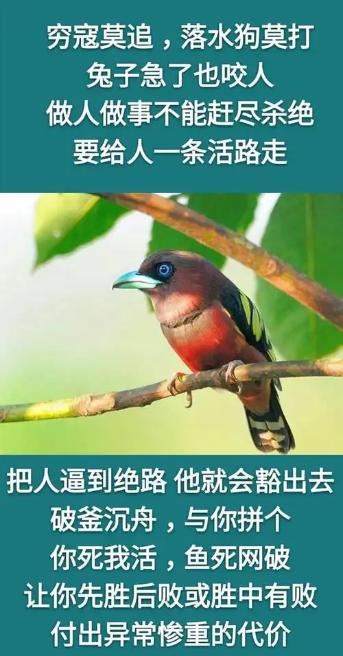 做人做事不要逼人太甚不可赶尽杀绝