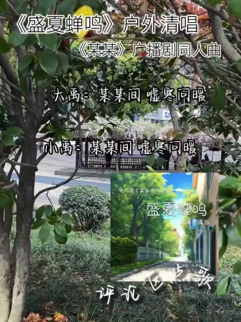 《盛夏蝉鸣》户外清唱 这首歌真的好温柔呀有谁还没有听过的吗?