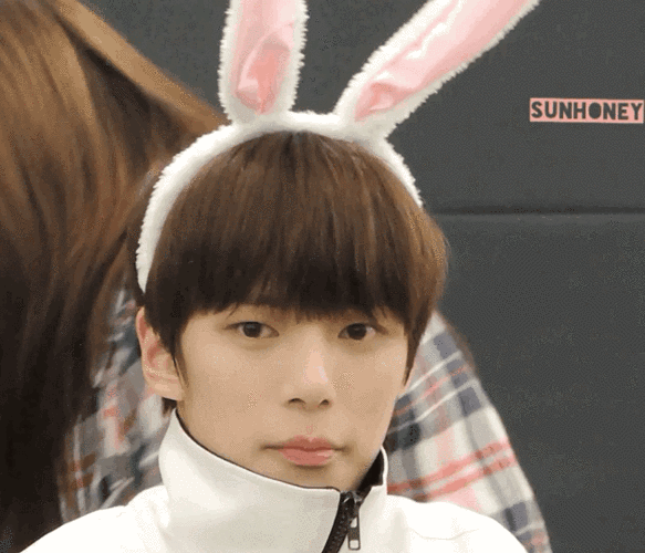 兔耳朵萌萌哒偷瞄嗨皮gif动图_动态图_表情包下载_soogif