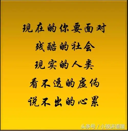 世态炎凉,这就是现实,这就是人心,都看看吧