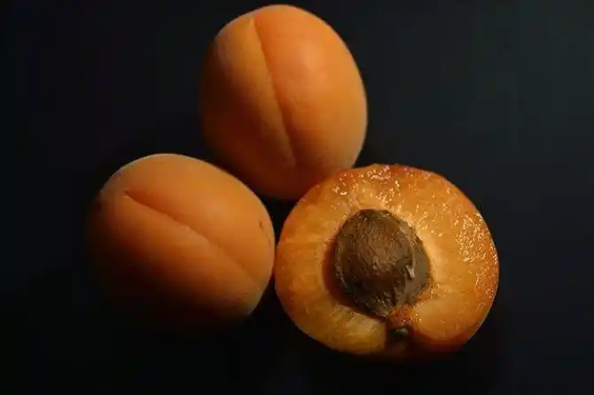 果核图片_全景网