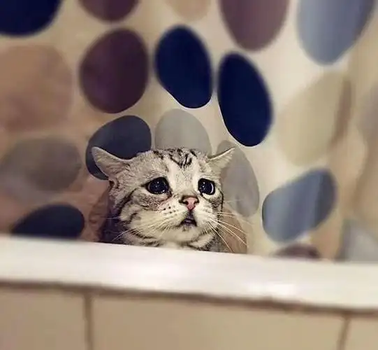 看我可怜巴巴的眼神omg楚楚可怜表达的十分到位,演技满分.