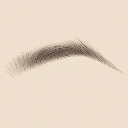 procreate眉毛绘画步骤带详细过程