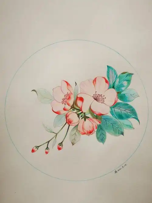 彩铅画33海棠花临摹