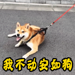 我不动安如狗耍赖gif动图_动态图_表情包下载_soogif
