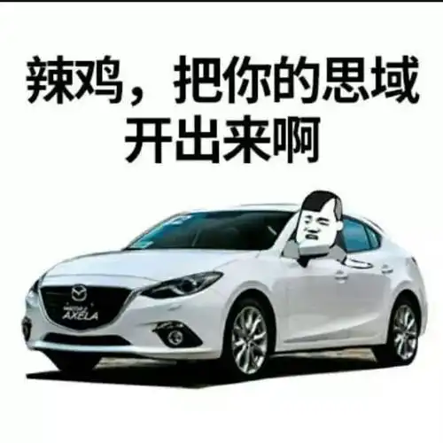 昂克赛拉表情包斗图