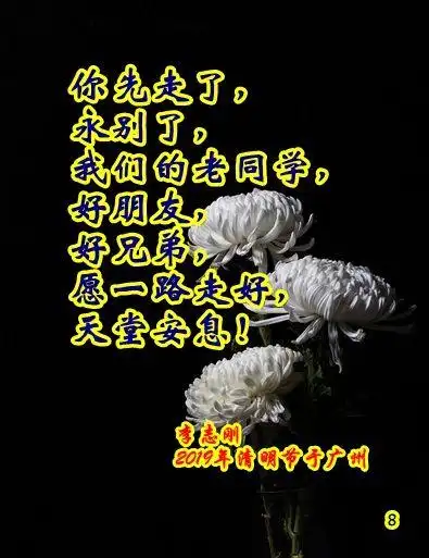 沉痛哀悼王企同学