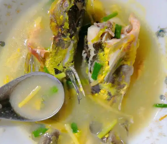 零技术含量做黄辣丁鱼汤,美味又营养,看到都流口水