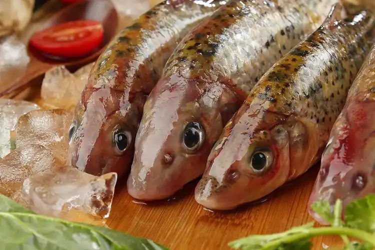 野生花骨鱼拍摄丨飞鸟电商