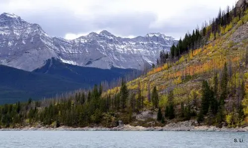 canadian rockies之美