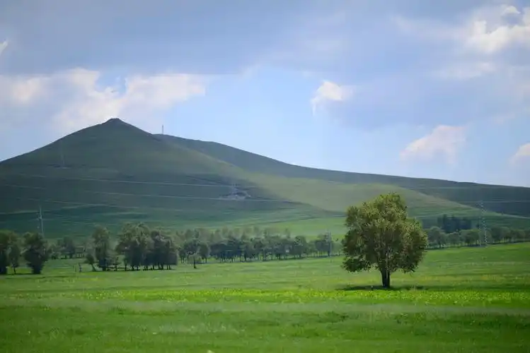 蓝天白云 山 草原 树