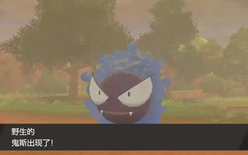 宝可梦剑盾路闪-闪光鬼斯