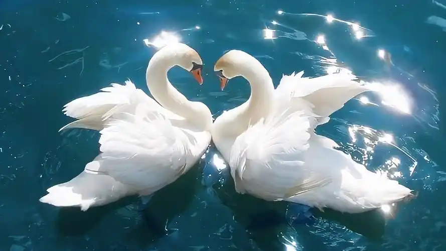 有什么壁纸能让ipad横屏和竖屏都合适