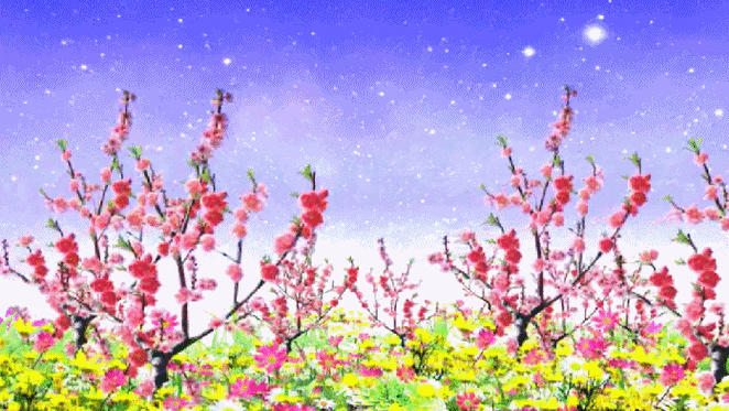 697_393gif 动态图 动图