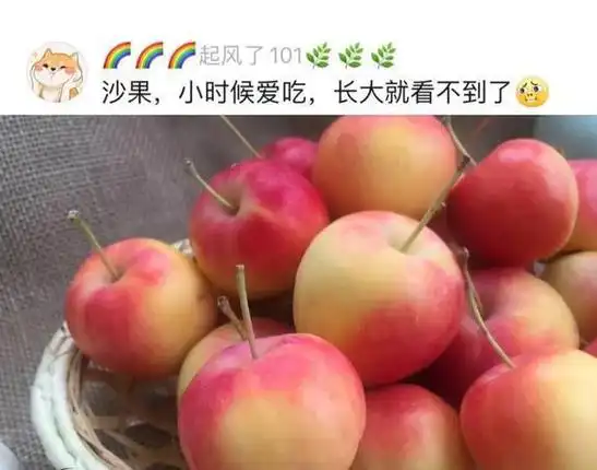 橘子|樱桃|柿子|李子|苹果|桃子|车厘子_网易订阅