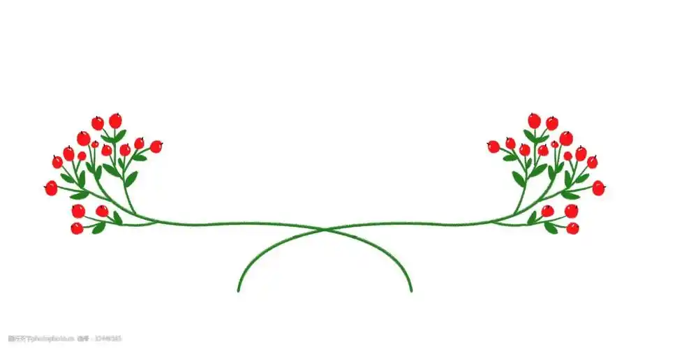 花卉创意分割线插画