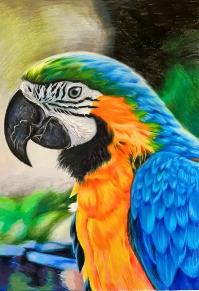 今天我又来分享画画啦.鹦鹉彩铅手绘附步骤#画画 #手绘 #彩 - 抖音