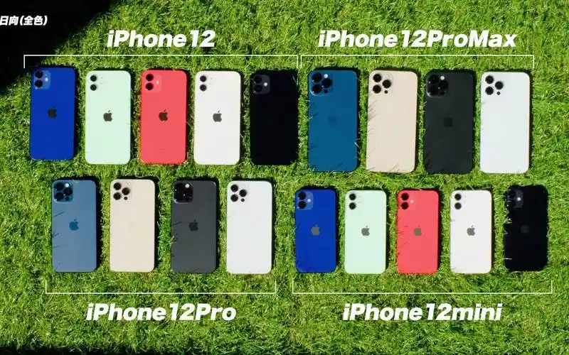 iphone12全机种全色系上手展示对比