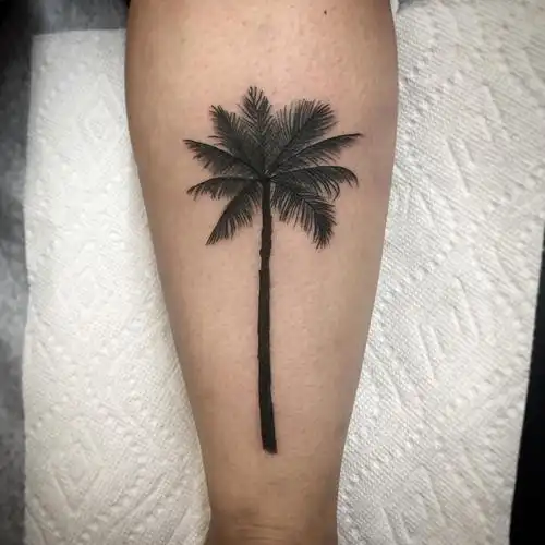 小腿黑灰椰子树纹身图案
