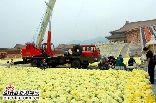 图文:《满城尽带黄金甲》片场-吊车摆放道具花