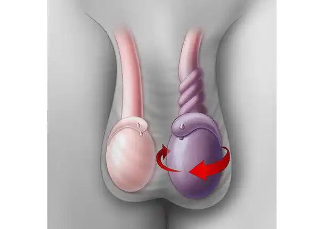 美国研究发现:男性睾丸上有味蕾,这是真的?国外网友亲自实验