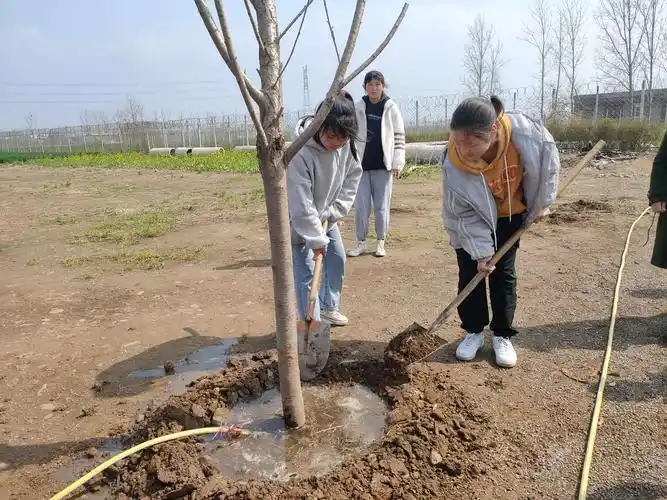 植树护绿,我们在行动—赵庄初中开咋112植树节系列活动