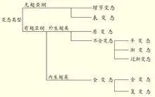 其变态特点是幼体从卵中孵化出来后以基本具备成虫地特征;在胚后发育