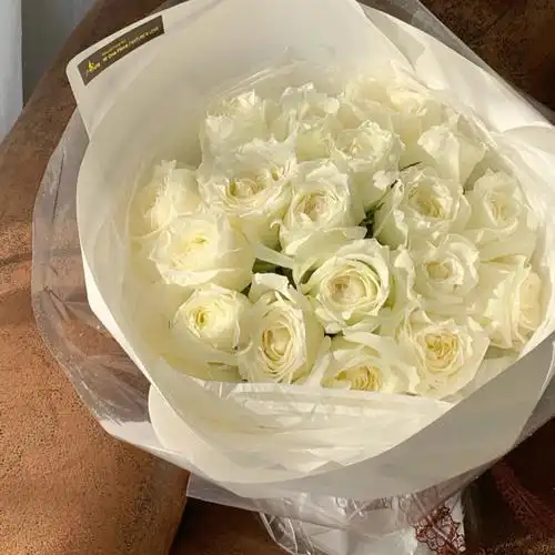 白玫瑰的花语:"我足以与你相配".