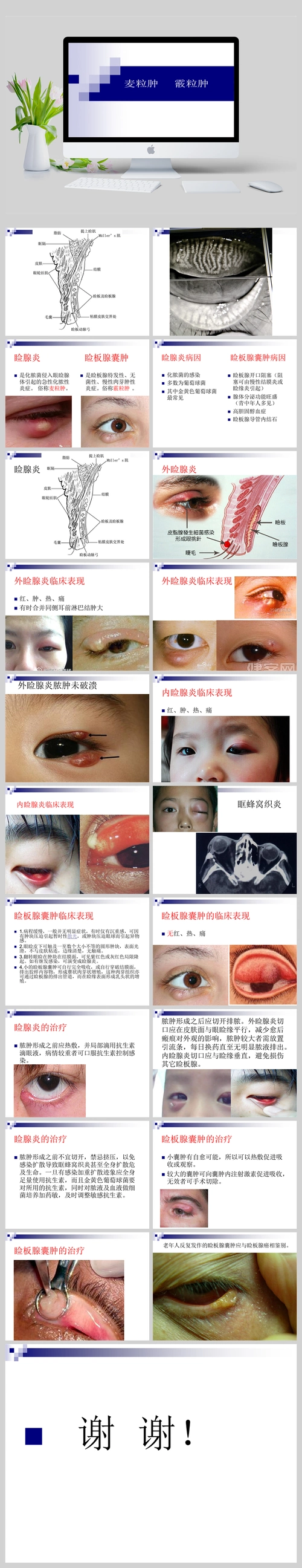 睑腺炎与睑板腺囊肿ppt课件