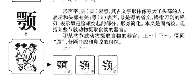 颚|颚拼音|颚怎么读|颚部首|颚意思