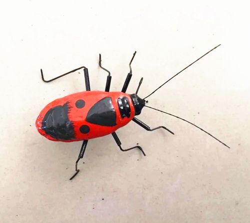 动物模型高仿真昆虫赤星春香虫椿象虫磁铁冰箱贴摄影道具场景装饰