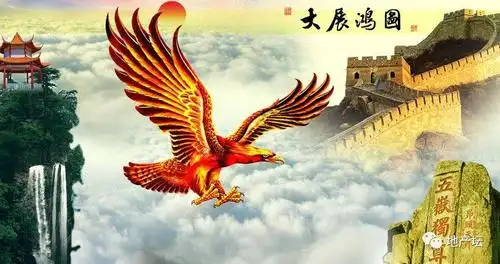 中老年头像大全:高清大鹏展翅,大展宏图的微信头像壁纸