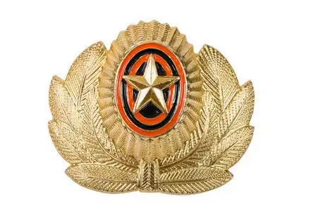 俄罗斯徽章图片