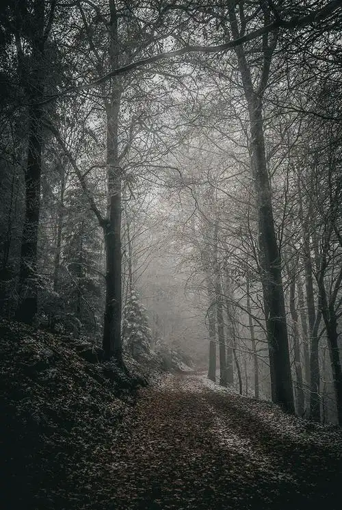 有时心情昏暗,没有希望