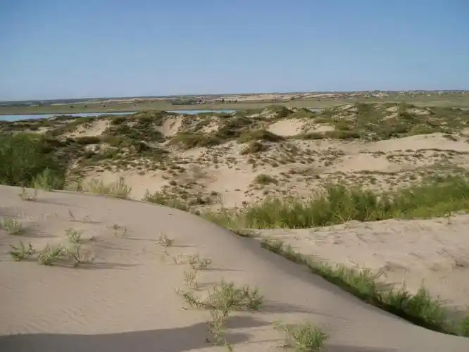 生态科普阅读 | 快拦住ta!_荒漠化