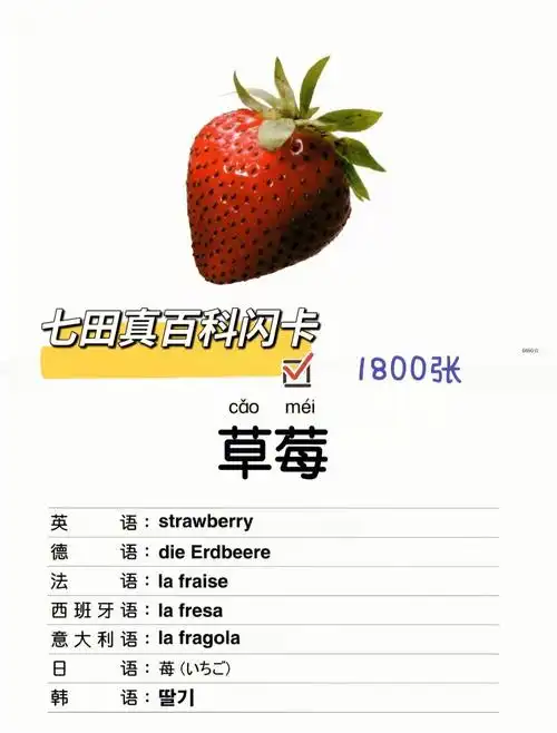 七田真百科闪卡