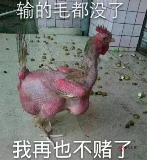 今天撸的两百羊毛五分钟就没了再也不赌了老哥们累了