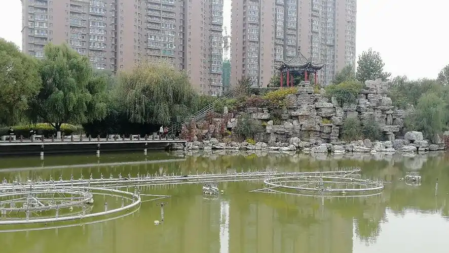 秋日公园 ——保定市清苑区第二中学1704商伊梦