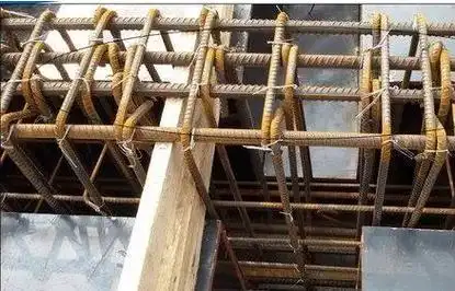 四肢箍 四肢箍是什么意思图解