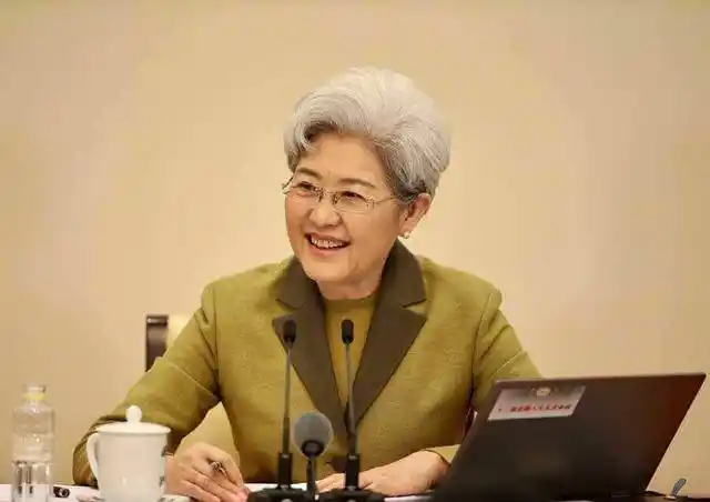 傅莹华春莹为14亿人发声的中国女外交官她们俩到底有多厉害