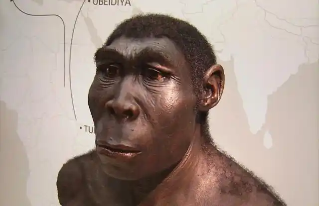 河北发现一史前遗址距今200万年以上人类起源于中国