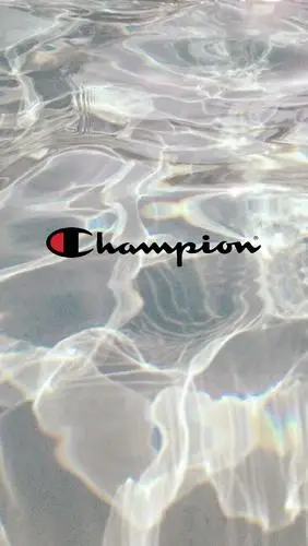 今日份壁纸champion417