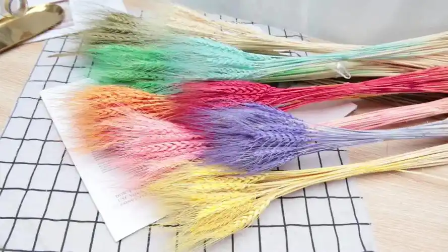 天然仿真小麦染色麦穗ins风干花花束家居装饰植物拍摄道具永生花