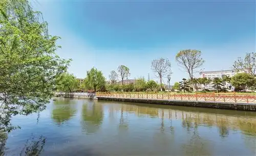 水清岸绿的乡村环境路桥区金清镇供图