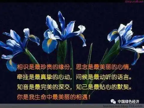 相遇是一种美丽的缘分