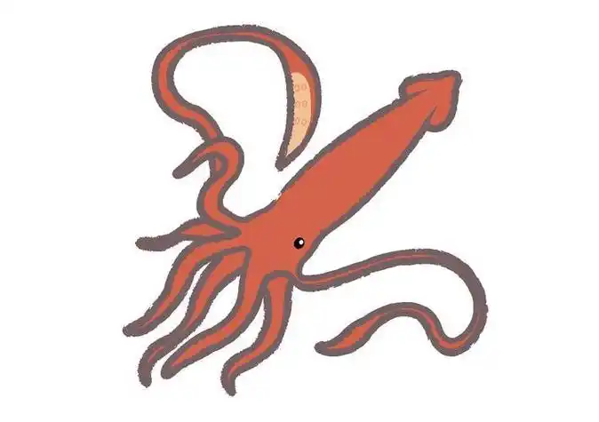 大王乌贼怎么画简笔画
